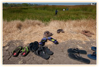 Students in field. Courtesy of UCI Communications.